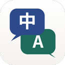 Video Voice Translate APK