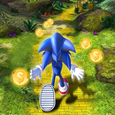 Subway Blue Hedgehog Rush APK