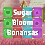 NV Casino: Join & Play