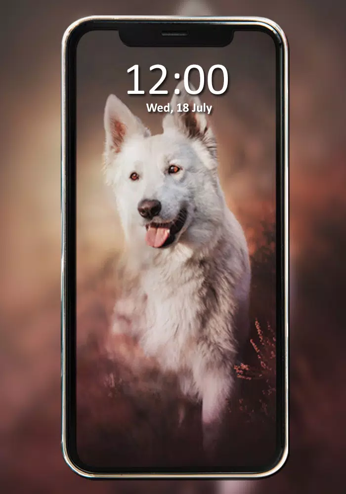Tải xuống APK Cute Dog Wallpaper HD cho Android Tải xuống APK Cute Dog Wallpaper HD cho Android