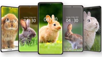 Cute Rabbit Wallpaper HD Affiche