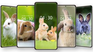 Cute Rabbit Wallpaper HD Screenshot 2