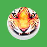 BaghChal - Tigers and Goats 图标