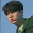 Suga Music And Wallpapers APK