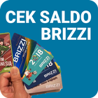 Cara mudah Cek Saldo BRIZZI BR icon