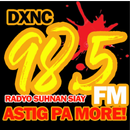 Radyo Suhnan FM APK