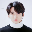 BTS - Jimin Wallpaper APK