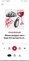 RFI Pure Radio - Подкасты скриншот 3