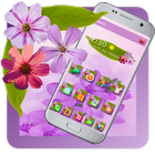 Summer flower theme ไอคอน