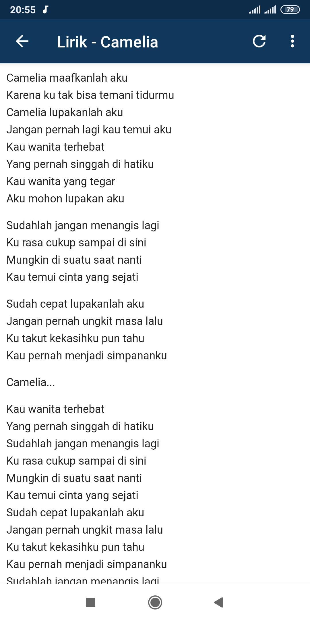 Irwansyah Camelia Offline Mp3 For Android Apk Download