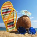 Summer Wallpapers 4K APK