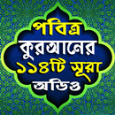 পবিত্র কুরআনের ১১৪টি সূরা অডিও (Offline) APK