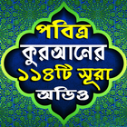 পবিত্র কুরআনের ১১৪টি সূরা অডিও (Offline) icon