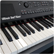 Real Piano-Piano Keyboard ikon