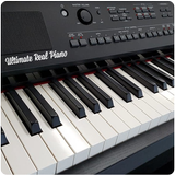 Real Piano-Piano Keyboard icône