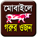 মোবাইলে গরুর ও ছাগলের  ওজন নির্ণয় APK