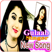 Gulaab Singer Latest Song