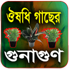 ঔষধি গাছের গুনাগুন (চিত্রসহ) icône