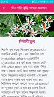 লতা পাতা ও ফলের গুনাগুন screenshot 1