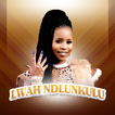 Lwah Ndlunkulu All Songs icon