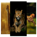 Best Wallpaper Cheetah HD APK