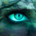 ”Zen Wallpapers