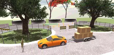 350Z Parking Test Simulator