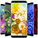 Flowers Wallpapers | HD | 4K APK