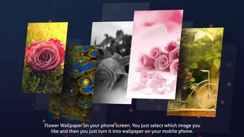 Flowers Wallpapers | HD | 4K تصوير الشاشة 1