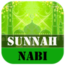 Kebiasaan Sunnah Nabi APK