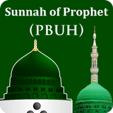 Sunnah of Holy Prophet (PBUH)  icono
