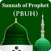Sunnah of Holy Prophet (PBUH) 
