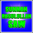 Sunnah Rasulullah SAW Zeichen