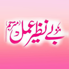 Benazir Amal icône