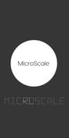 Microscale poster