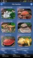Pilz Id, Die Pilze Sammeln App poster