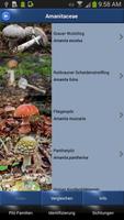 Pilz Id, Die Pilze Sammeln App screenshot 1
