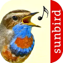 Vogelstimmen Id - Ruf + Gesang APK 下載