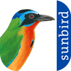 All Birds Trinidad & Tobago - -icoon
