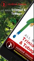 All Birds Trinidad & Tobago - -poster