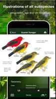 All Birds Trinidad & Tobago -  screenshot 2