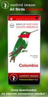 All Birds Colombia - A Sunbird Affiche