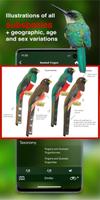 All Birds Colombia - A Sunbird capture d'écran 2