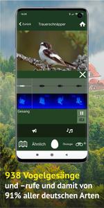 Alle Vögel Deutschland Foto Gu Ekran Görüntüsü 3