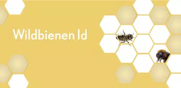 Wildbienen Id BienABest