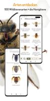 Wildbienen Id BienABest スクリーンショット 2