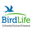 Oiseaux de Suisse - Birdlife