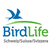 Vogelführer Birdlife Schweiz