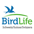 Oiseaux de Suisse - Birdlife icône