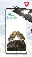 Vogelführer Birdlife Schweiz poster